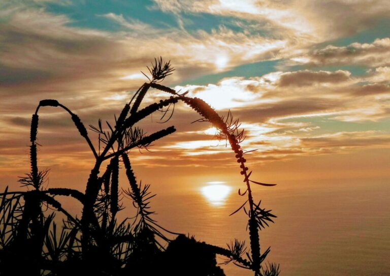 Sonnenuntergang La Palma