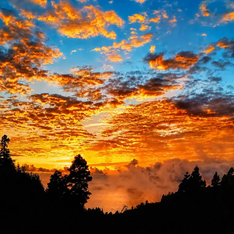 „Yoga Retreat Kanaren La Palma – Detox, Wellness und Outdoor Yoga in Vidyamor Oase“