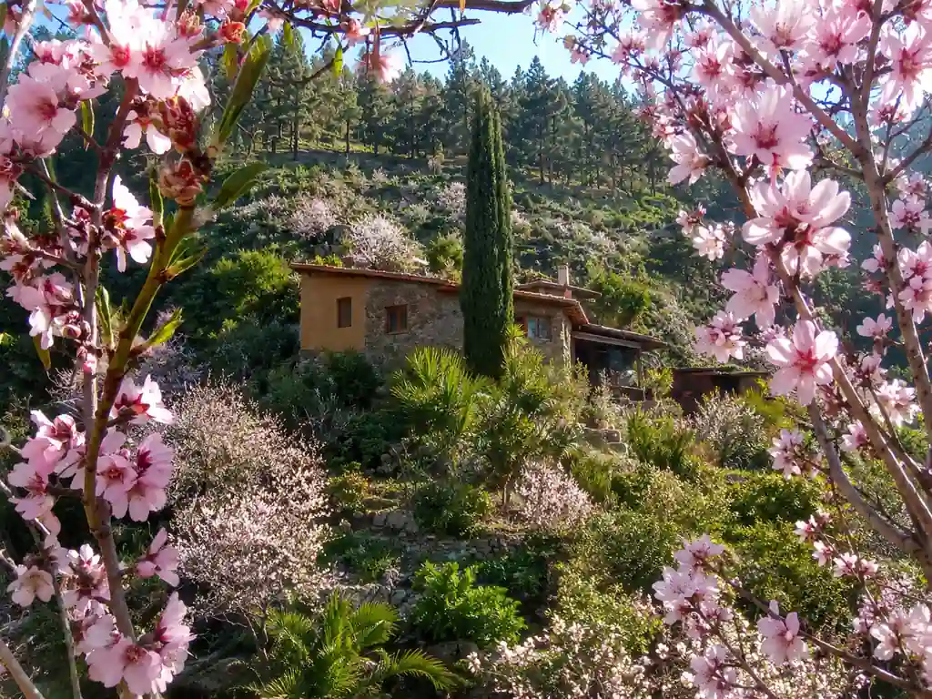 Retiros de yoga y bienestar en las Islas Canarias en el Oasis Vidyamor. Retiros de bienestar y detox en La Palma