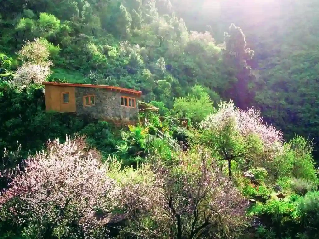 Vidyamor Oasis on the Canary Islands in the Almond Bight