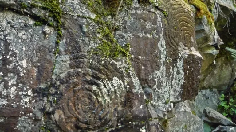 Schwermetallausleitung nach dem Detox Retreat auf La Palma ~ Kanaren