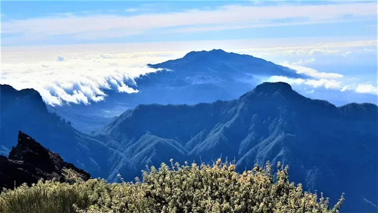 Alpine landscape on the Canary Islands