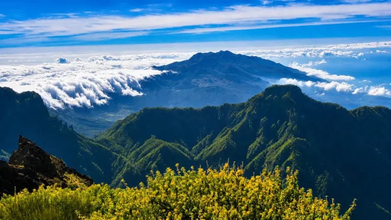 Durante tu eco-retiro en La Palma puedes explorar el paisaje alpino en las Islas Canarias