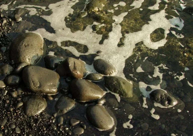 Liver cleansing on the Canary Islands