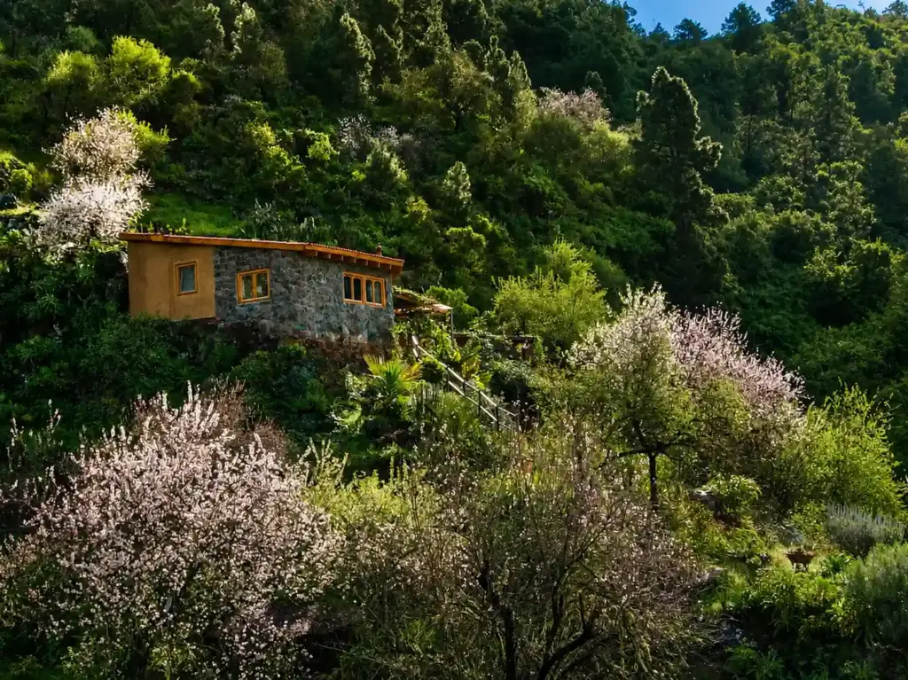 Vidyamor Oasis on the Canary Islands in the Almond Bight