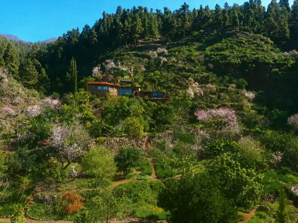 Yoga Retreat Kanaren La Palma Natur Ruhe