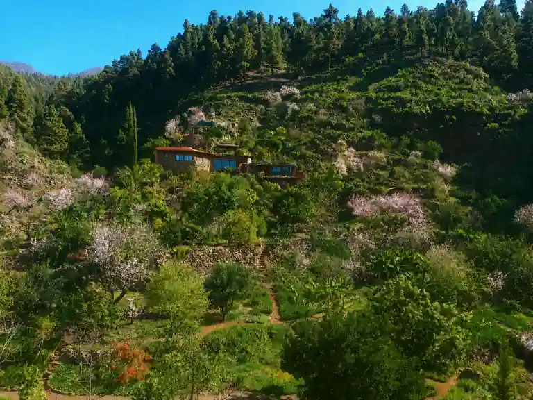 Yoga Retreat Kanaren La Palma Natur Ruhe