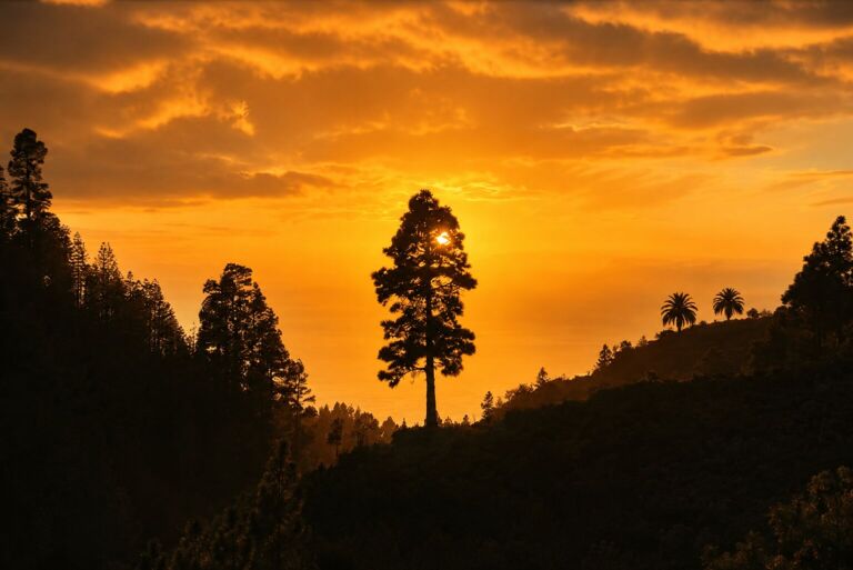 Yoga Retreat Kanaren - Erlebe einen traumhaften Fasten Urlaub und Yoga Eco-Retreats auf den Kanaren