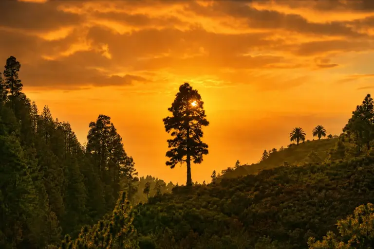 Sonnenuntergang über dem Atlantik auf La Palma während Deines Heilfasten- und Detox Retreats.