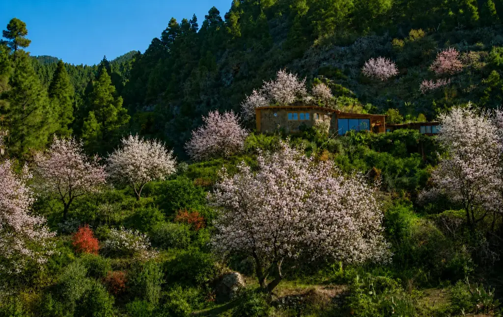 Almendros en flor y una naturaleza exuberante rodean nuestro oasis de retiro de yoga en La Palma, Islas Canarias.